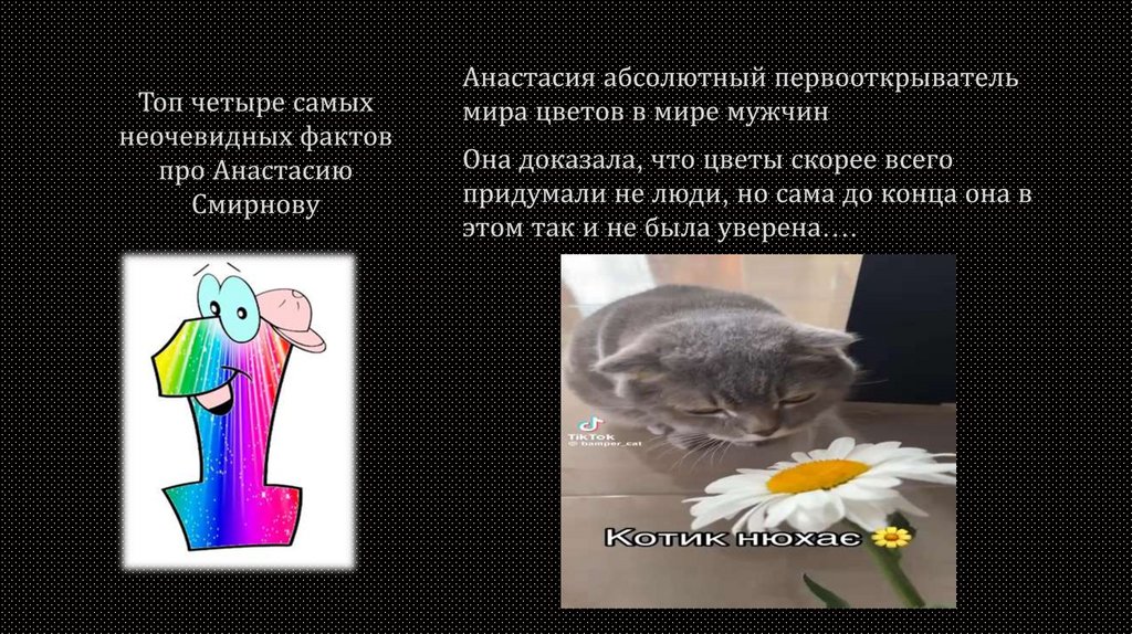 Топ четыре самых неочевидных фактов про Анастасию Смирнову