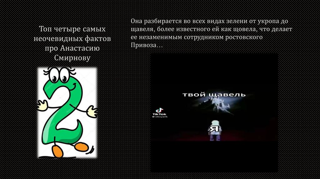 Топ четыре самых неочевидных фактов про Анастасию Смирнову