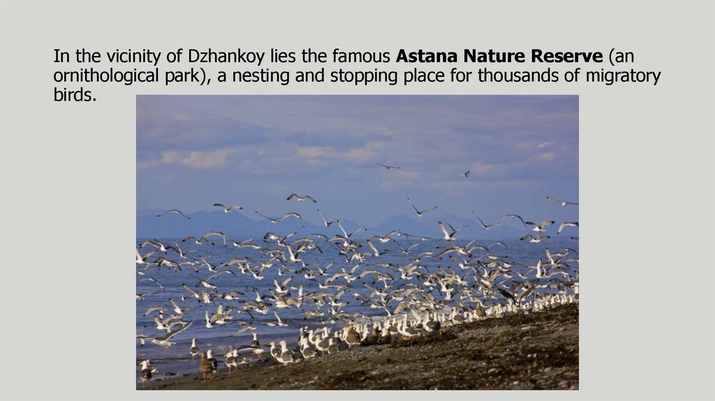 In the vicinity of Dzhankoy lies the famous Astana Nature Reserve (an ornithological park), a nesting and stopping place for