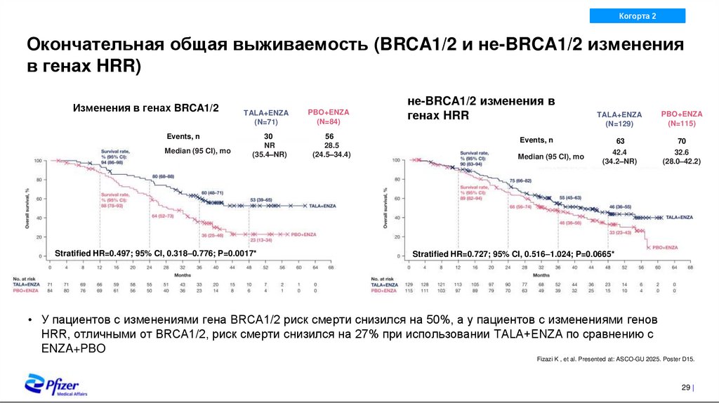 Время до цитотоксической химиотерапии
