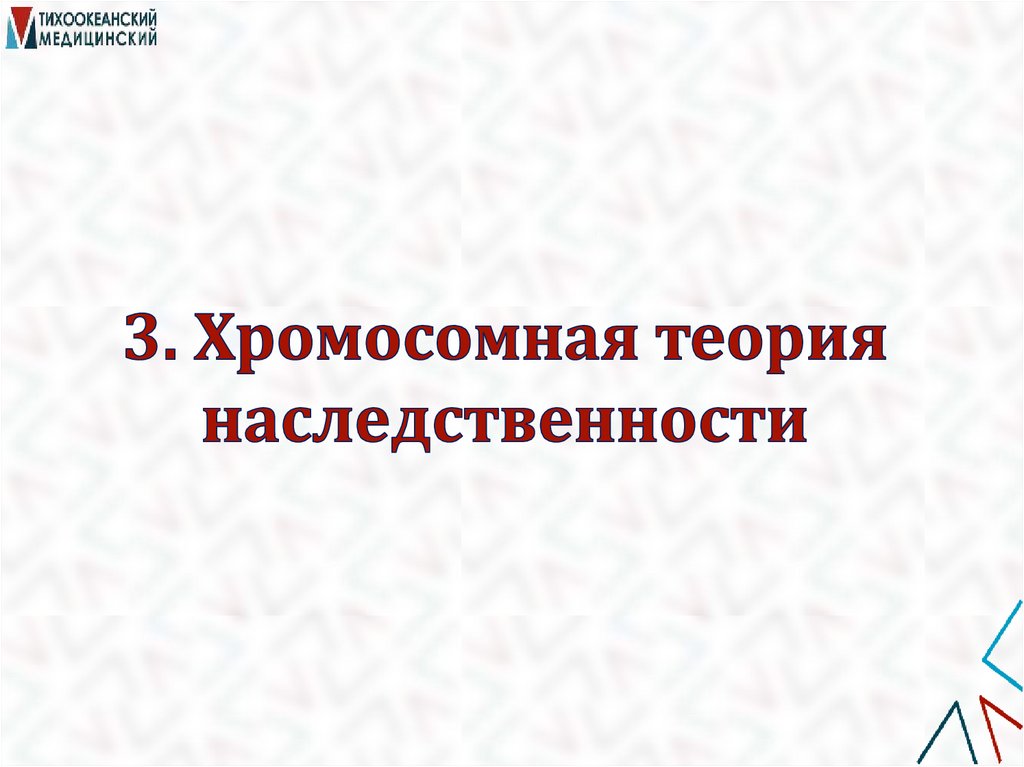 3. Хромосомная теория наследственности