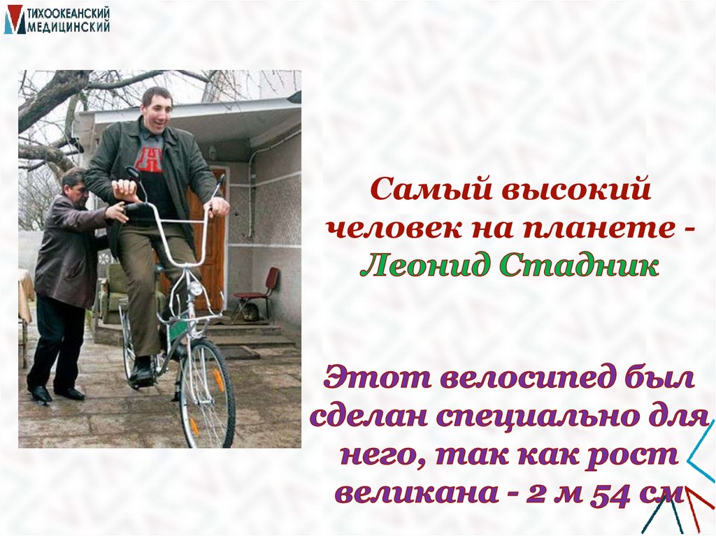 Самый высокий человек на планете - Леонид Стадник