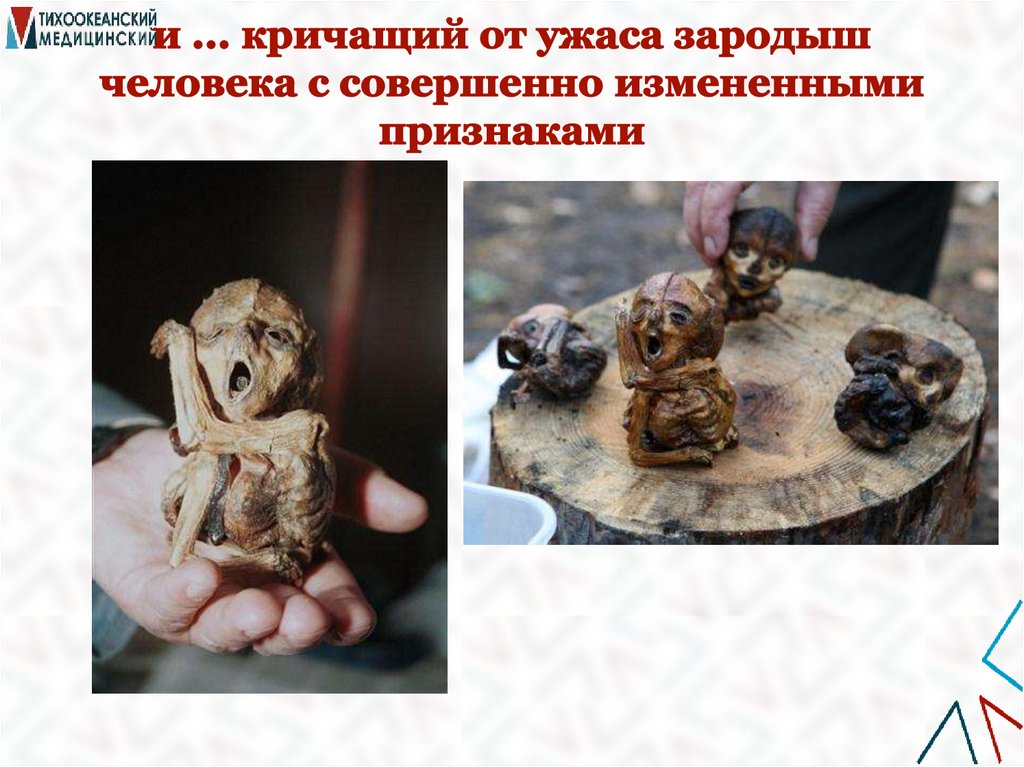 и ... кричащий от ужаса зародыш человека с совершенно измененными признаками