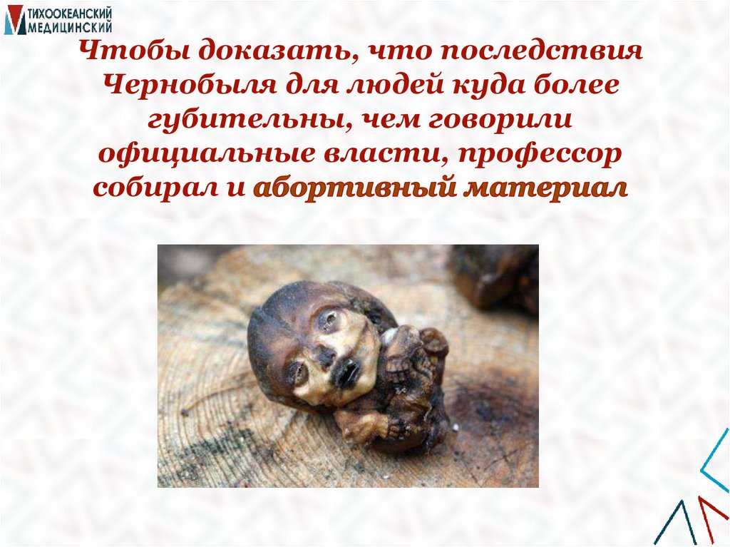 Чтобы доказать, что последствия Чернобыля для людей куда более губительны, чем говорили официальные власти, профессор собирал и