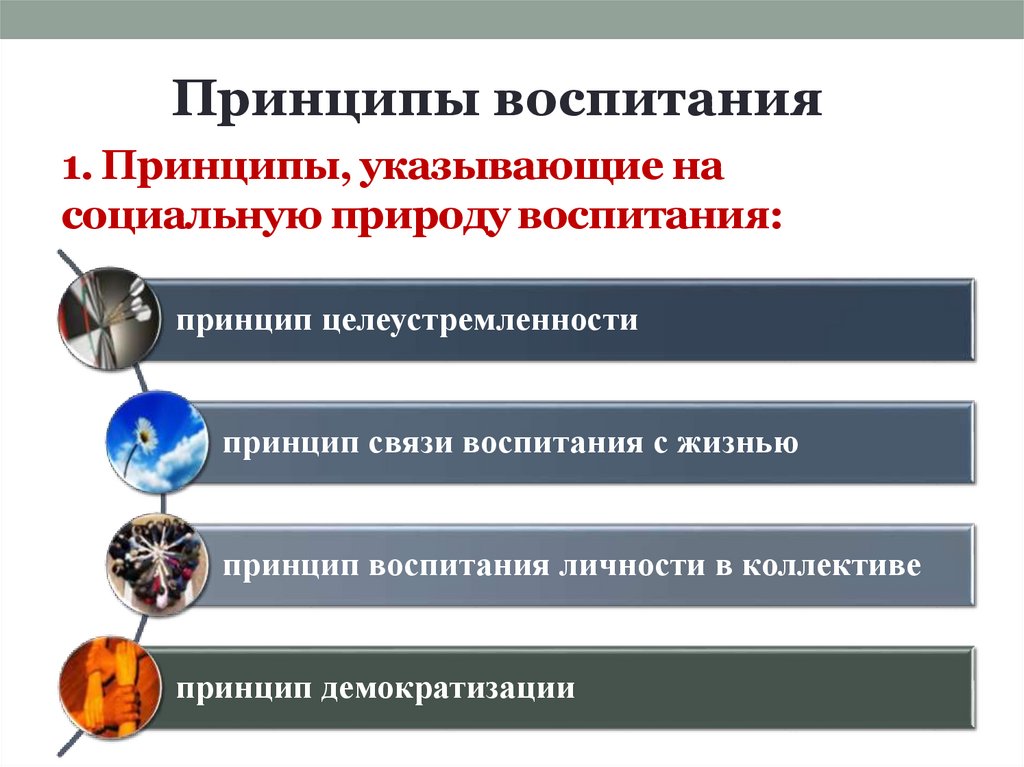 1. Принципы, указывающие на социальную природу воспитания: