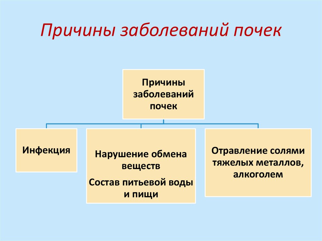 Причины заболеваний почек