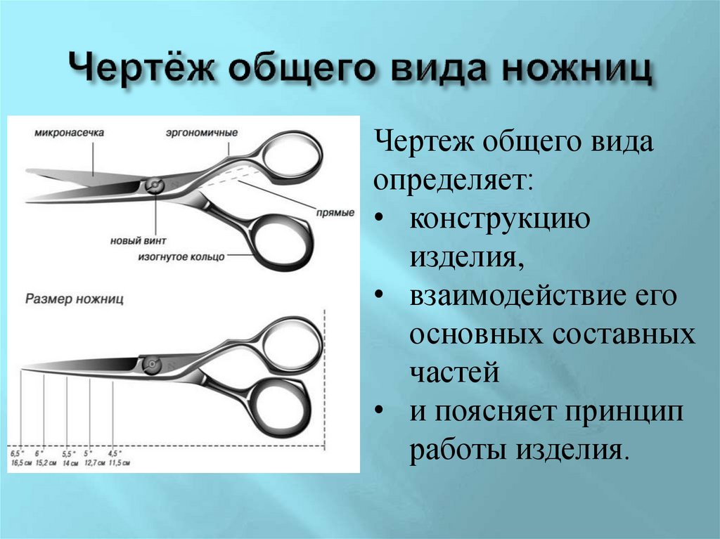 Чертёж общего вида ножниц