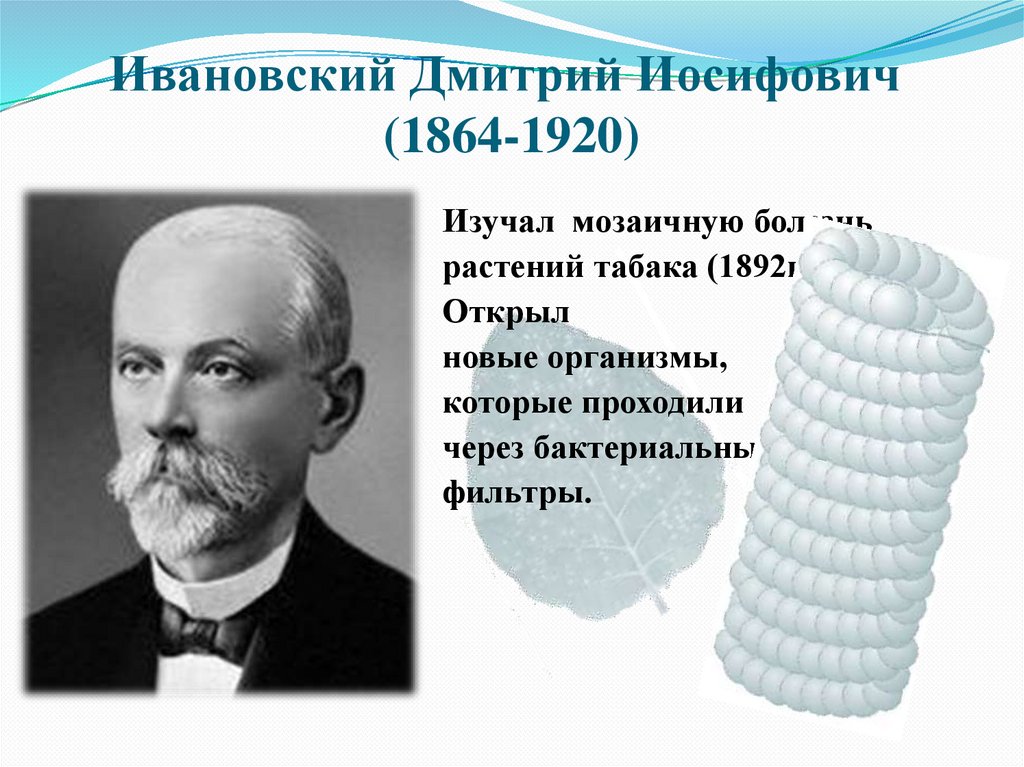 Ивановский Дмитрий Иосифович (1864-1920)
