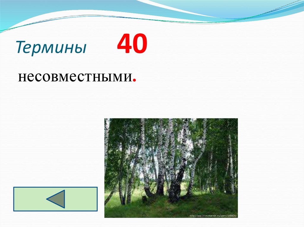 Термины 40