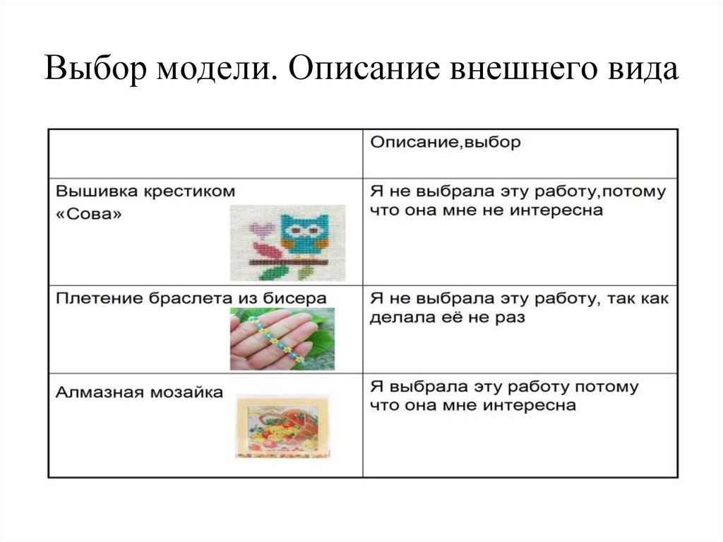 Выбор модели. Описание внешнего вида