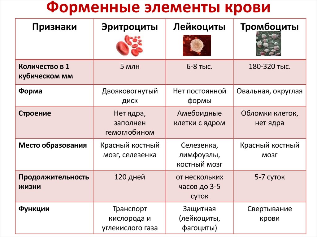 Форменные элементы крови