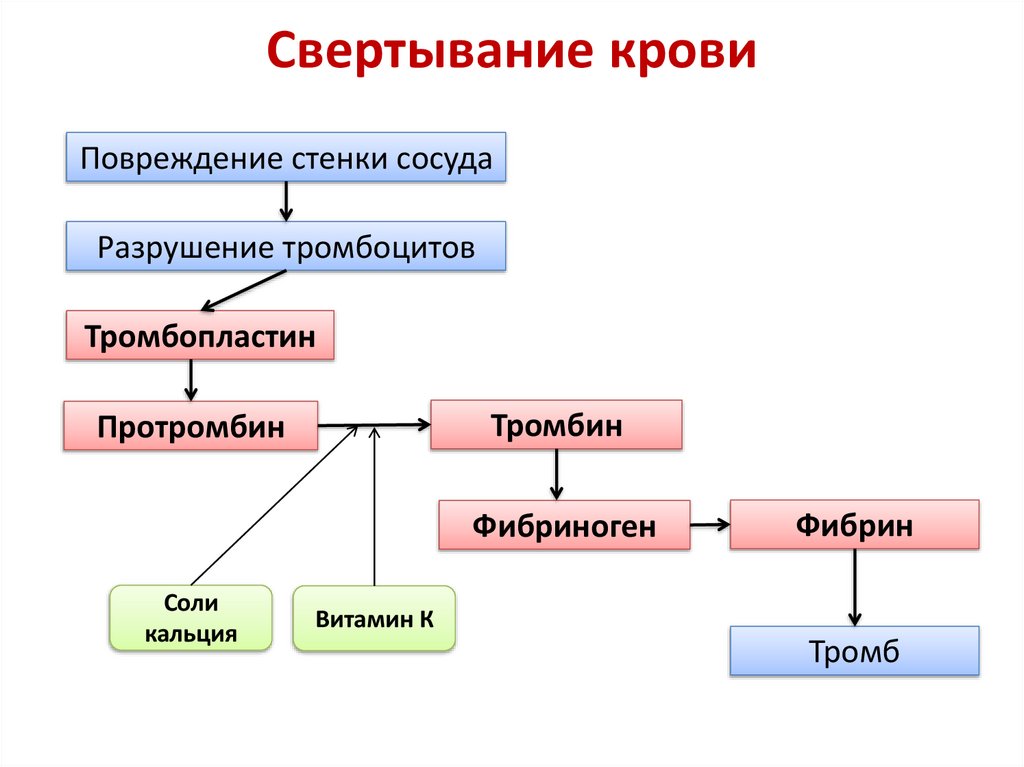 Свертывание крови