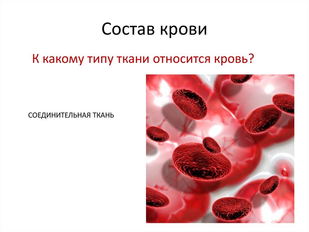 Состав крови