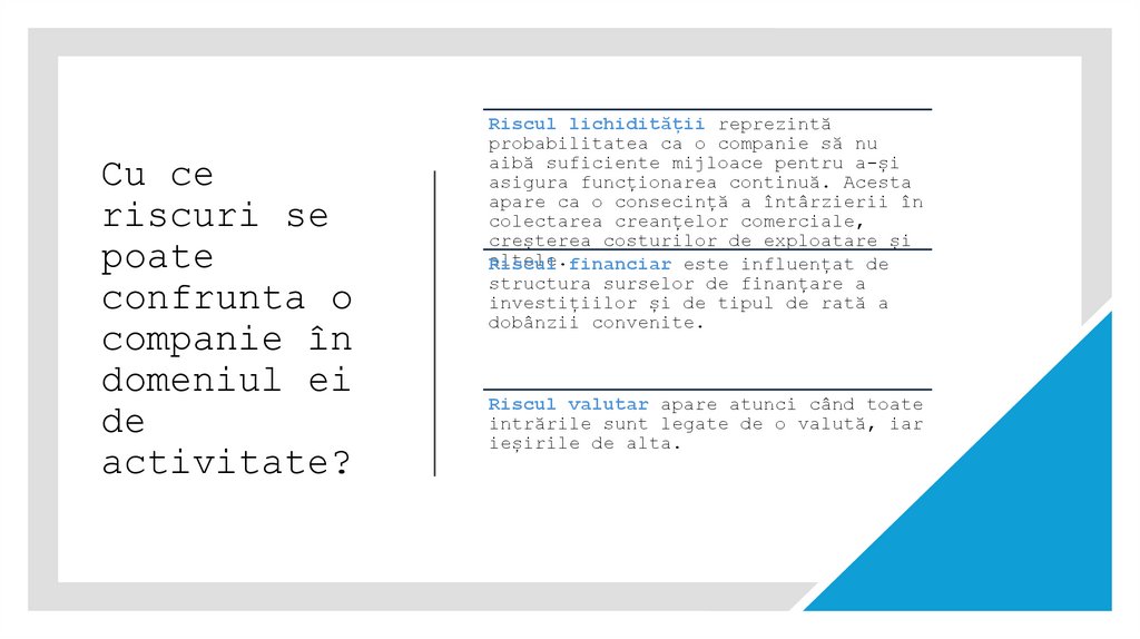 Cu ce riscuri se poate confrunta o companie în domeniul ei de activitate?