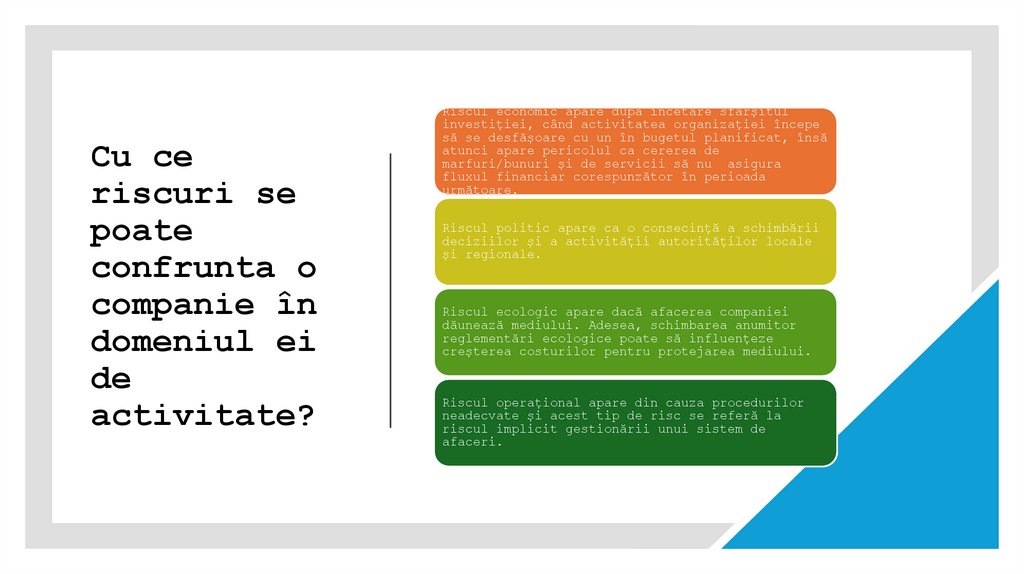 Cu ce riscuri se poate confrunta o companie în domeniul ei de activitate?