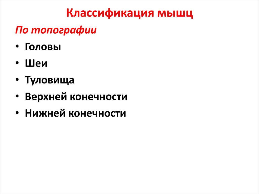 Классификация мышц