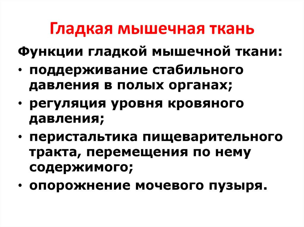 Гладкая мышечная ткань