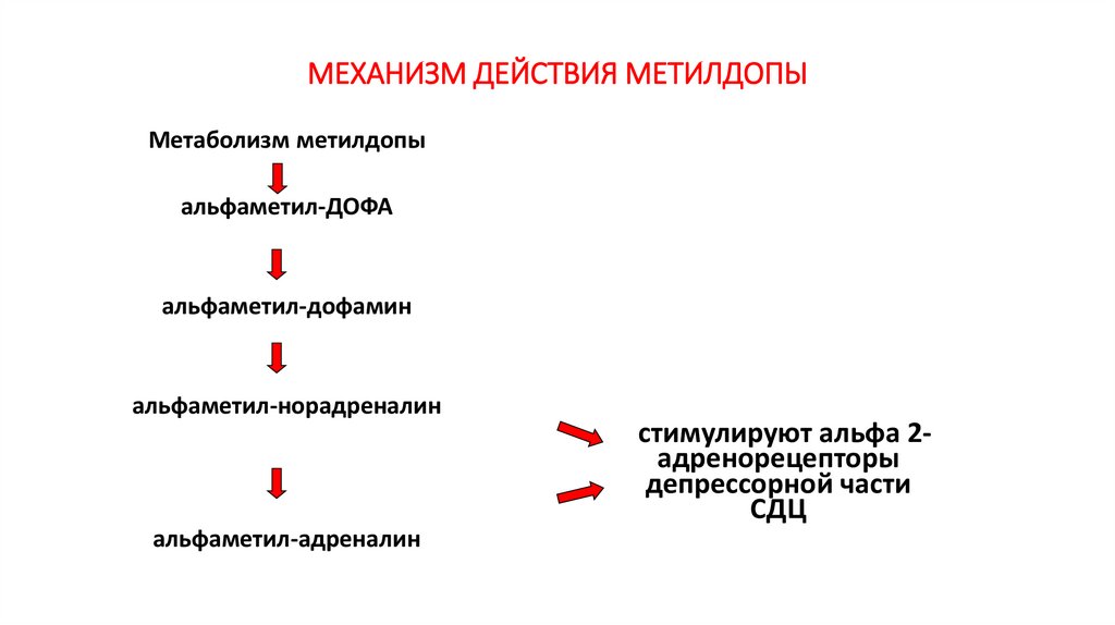 МЕХАНИЗМ ДЕЙСТВИЯ МЕТИЛДОПЫ