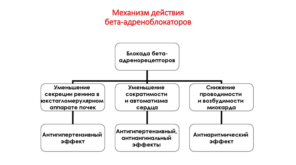 Механизм действия бета-адреноблокаторов