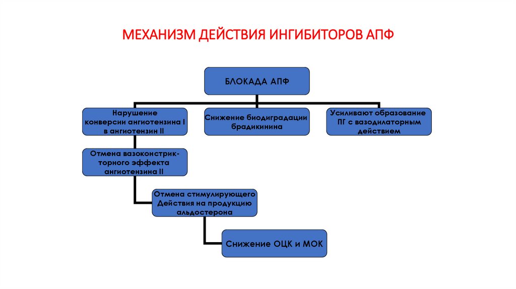 МЕХАНИЗМ ДЕЙСТВИЯ ИНГИБИТОРОВ АПФ
