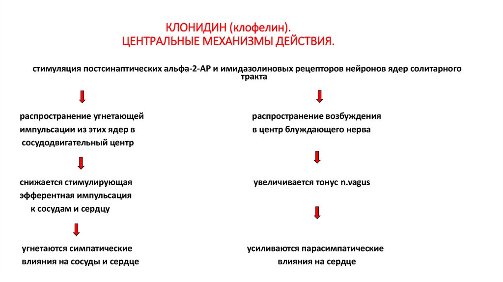 КЛОНИДИН (клофелин). ЦЕНТРАЛЬНЫЕ МЕХАНИЗМЫ ДЕЙСТВИЯ.