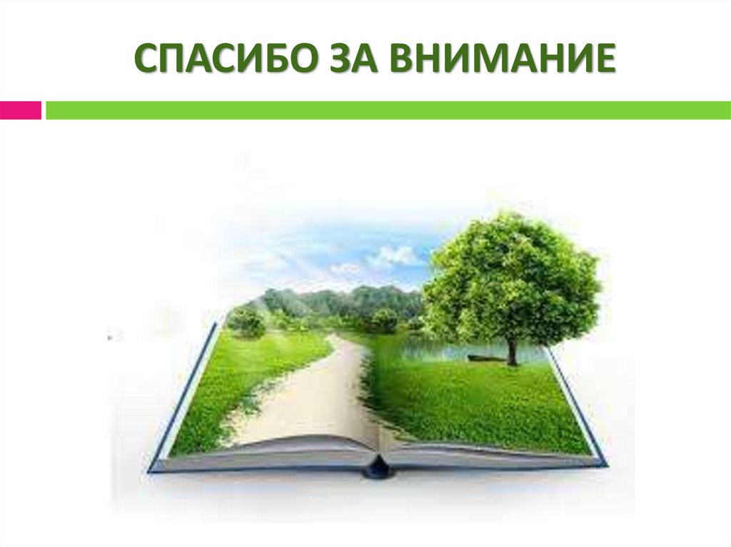 СПАСИБО ЗА ВНИМАНИЕ