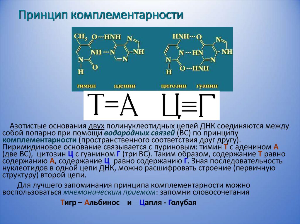 Принцип комплементарности