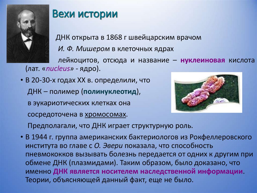 Вехи истории