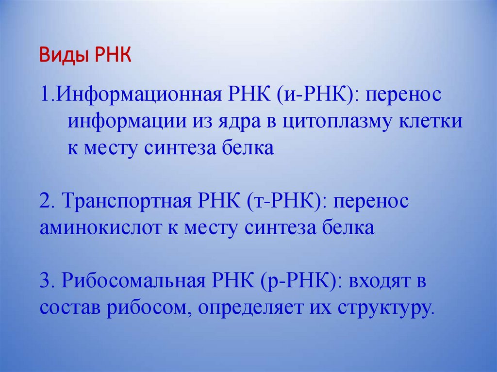 Виды РНК
