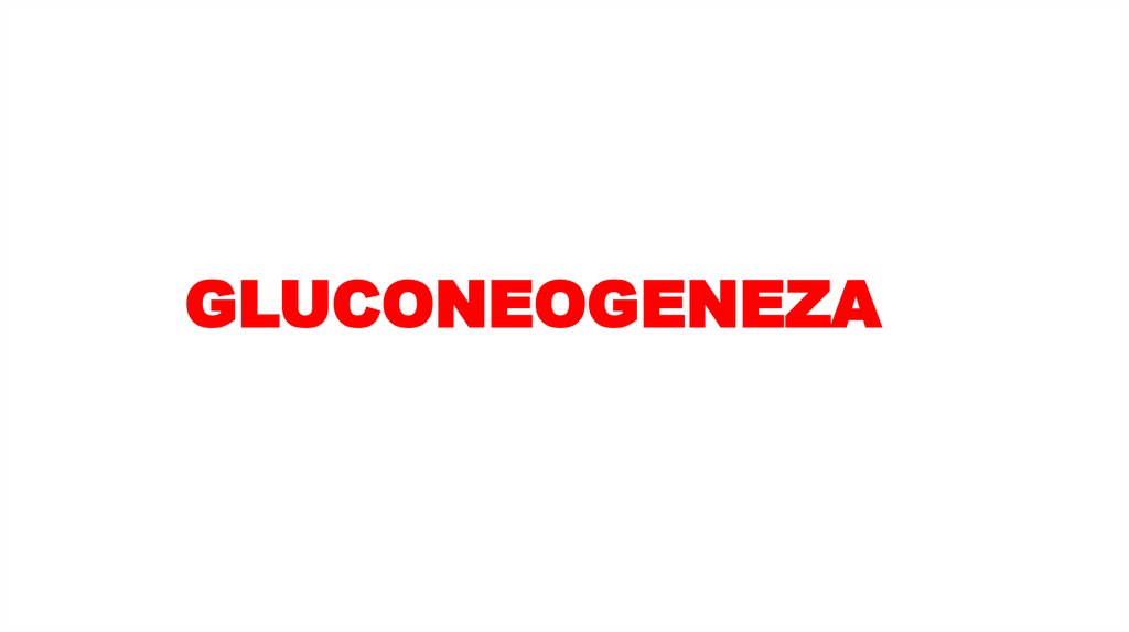 GLUCONEOGENEZA