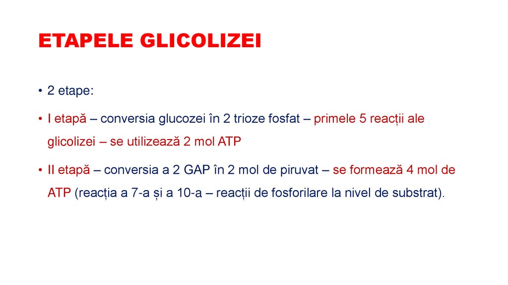 ETAPELE GLICOLIZEI