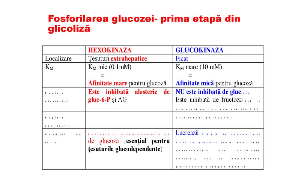 Fosforilarea glucozei- prima etapă din glicoliză necesară pentru rămanerea glucozei în celulă
