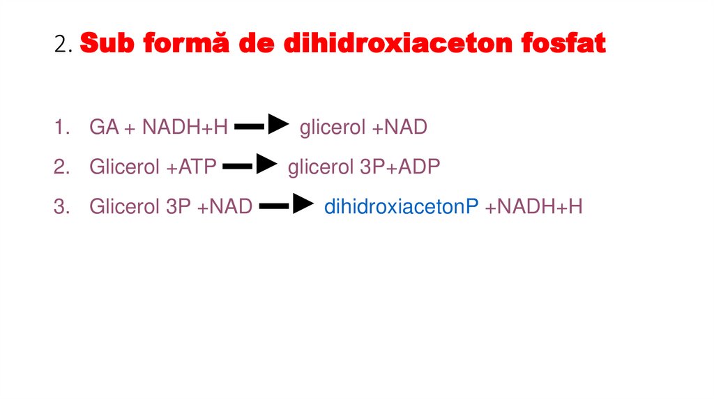 2. Sub formă de dihidroxiaceton fosfat