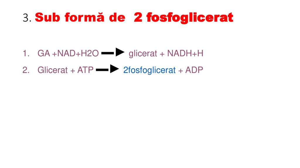 3. Sub formă de 2 fosfoglicerat