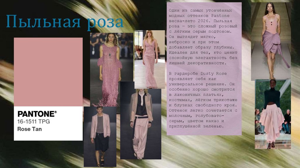 Пыльная роза