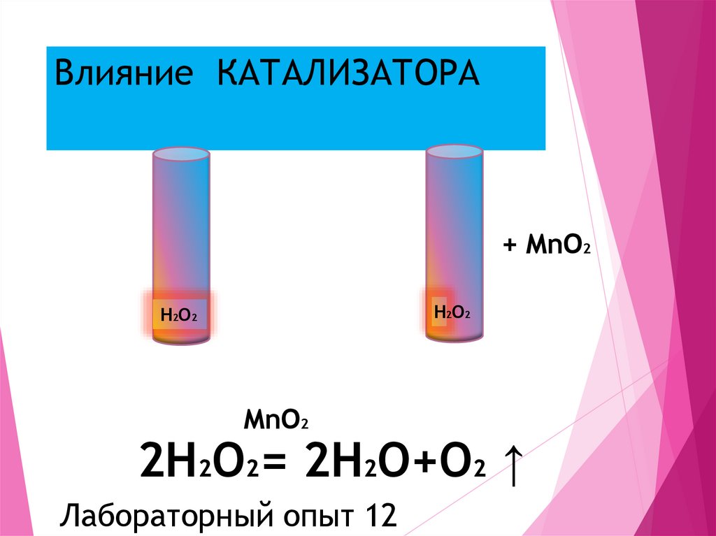 Влияние КАТАЛИЗАТОРА