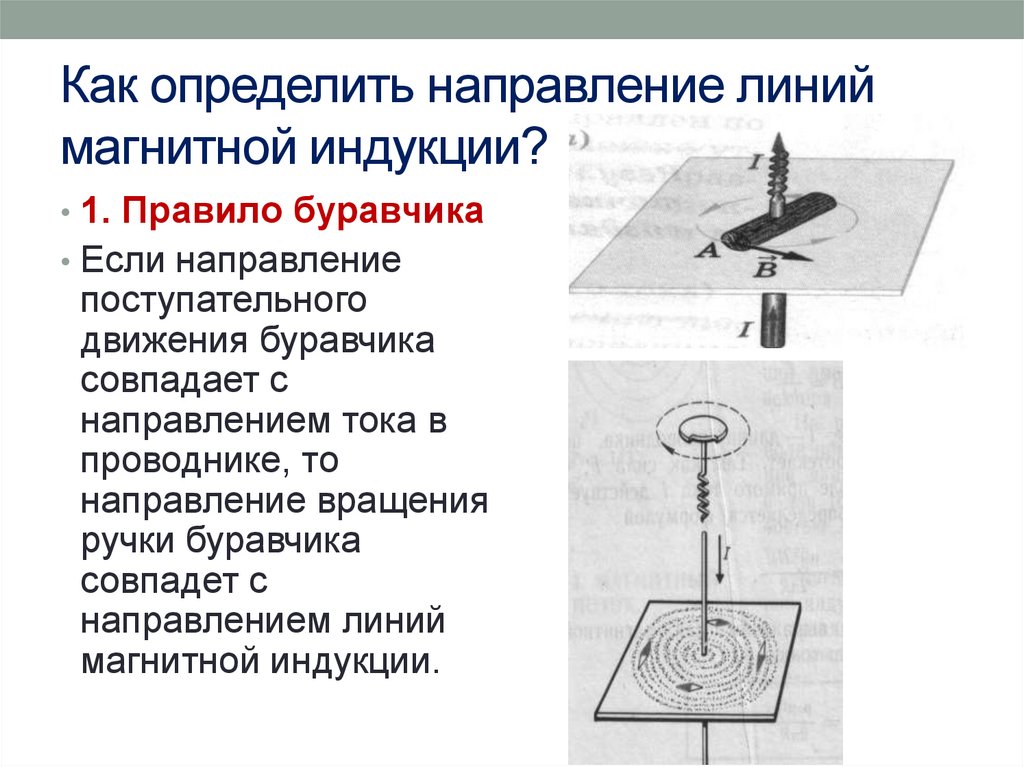 Как определить направление линий магнитной индукции?