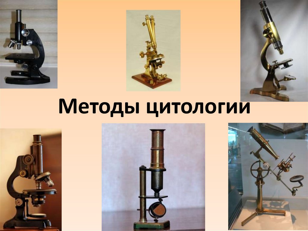 Методы цитологии