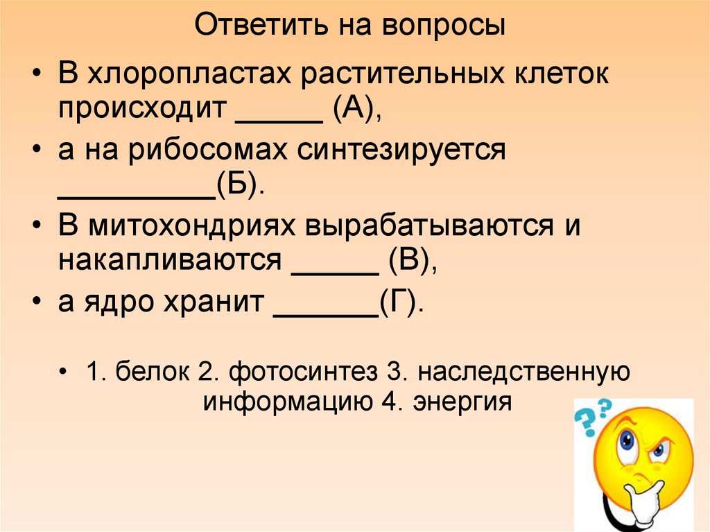 Ответить на вопросы