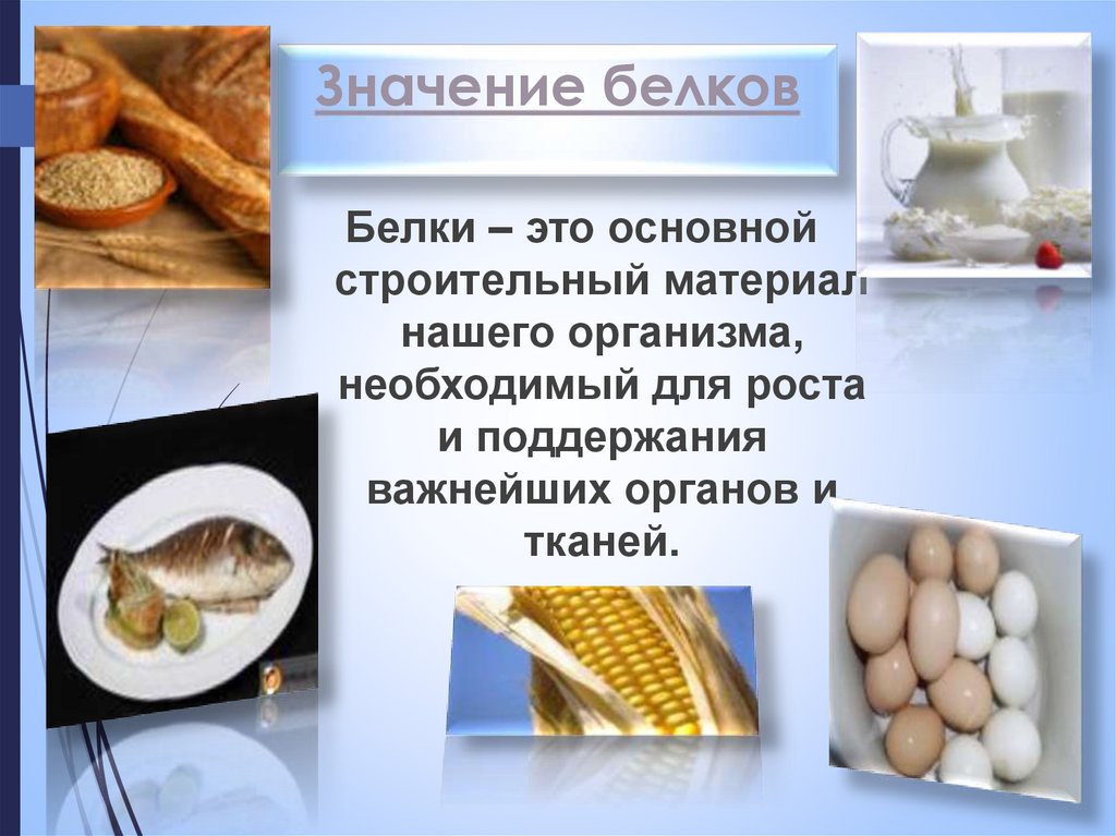 Значение белков