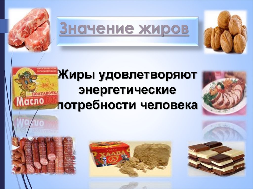 Значение жиров