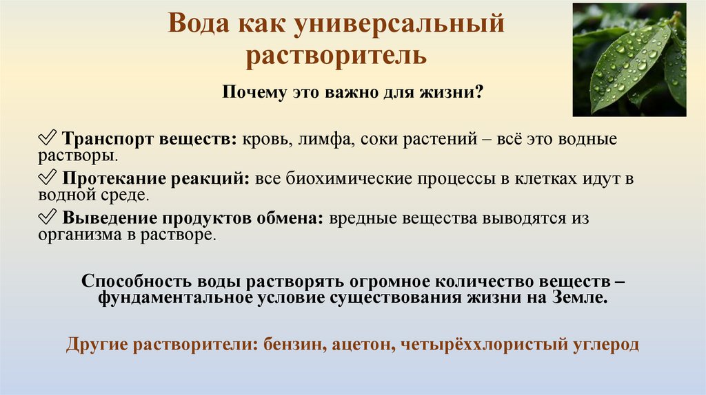 Вода как универсальный растворитель