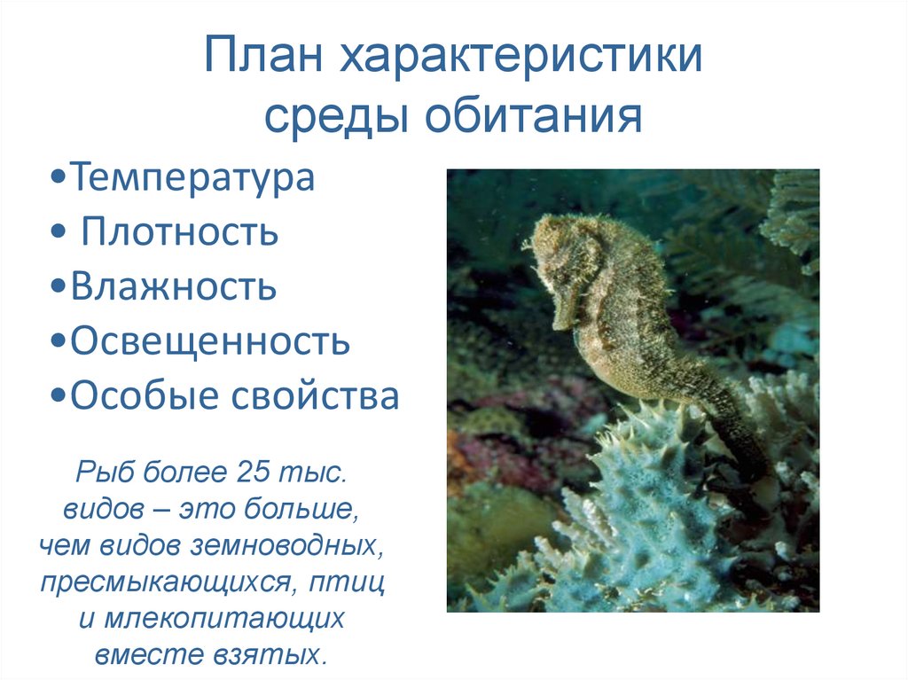 План характеристики среды обитания
