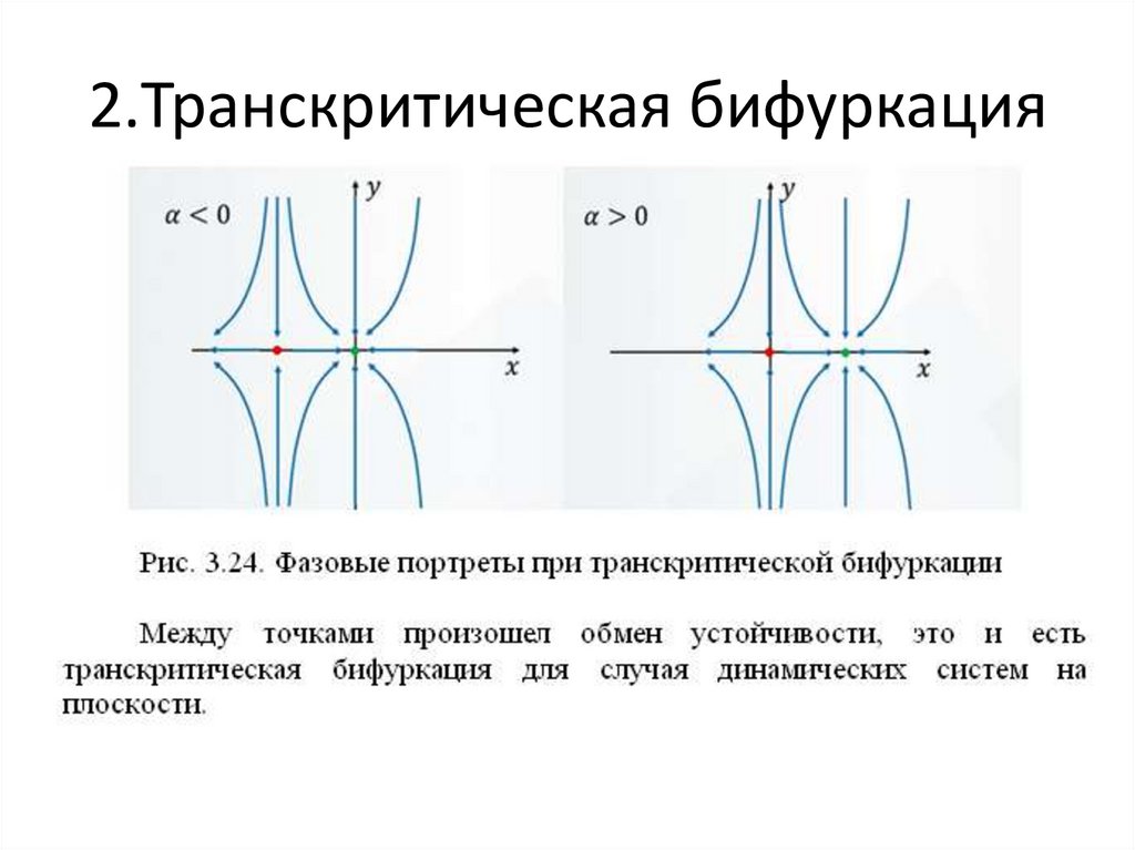 2.Транскритическая бифуркация