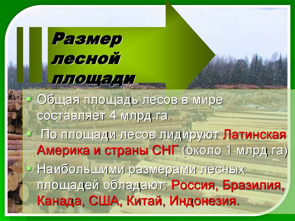 Размер лесной площади