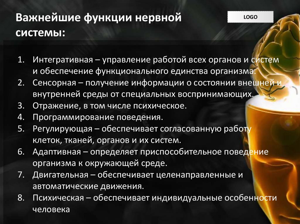 Важнейшие функции нервной системы: