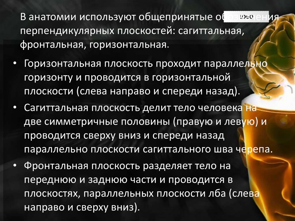 В анатомии используют общепринятые обозначения перпендикулярных плоскостей: сагиттальная, фронтальная, горизонтальная.