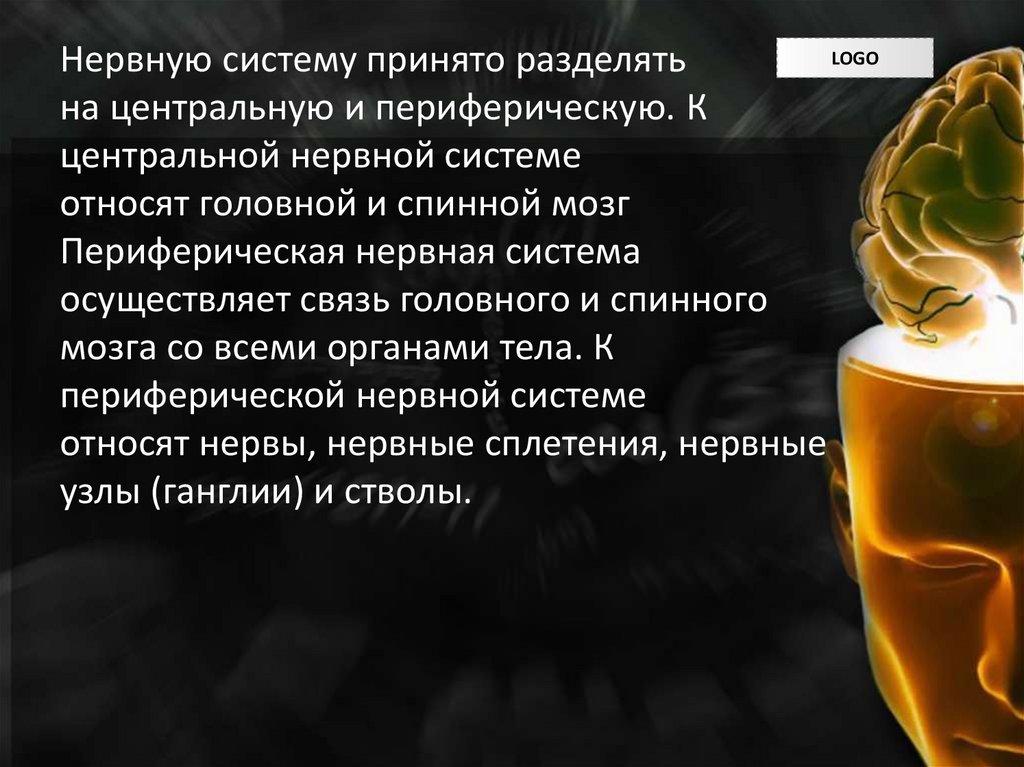 Нервную систему принято разделять на центральную и периферическую. К центральной нервной системе относят головной и спинной
