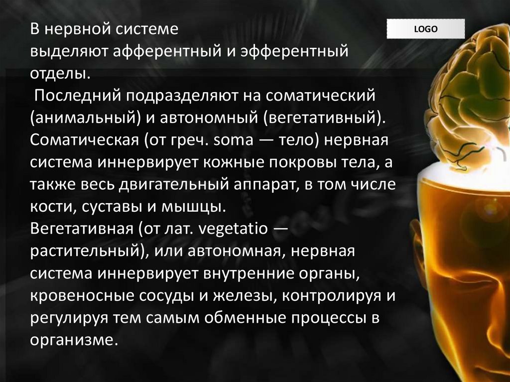 В нервной системе выделяют афферентный и эфферентный отделы.  Последний подразделяют на соматический (анимальный) и автономный