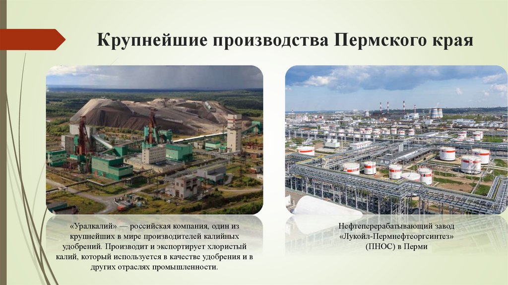 Крупнейшие производства Пермского края